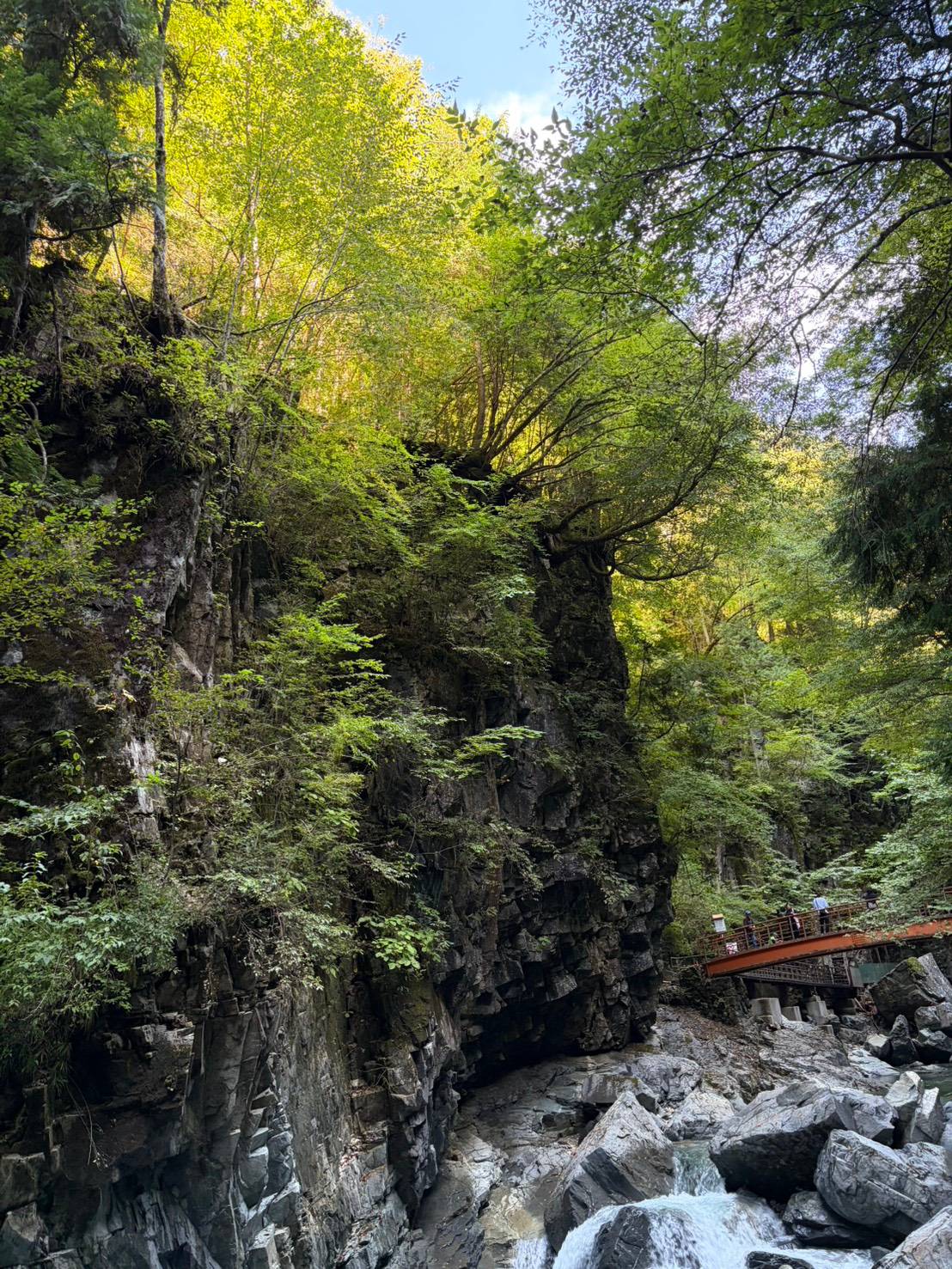 巌立峡の谷。切り立った岩壁の奥に赤い瀧見橋が架かっている