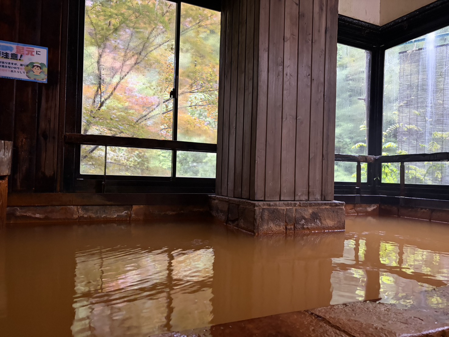 明治温泉のぬる湯。鉄褐色のお湯と、窓の外の色づいた木